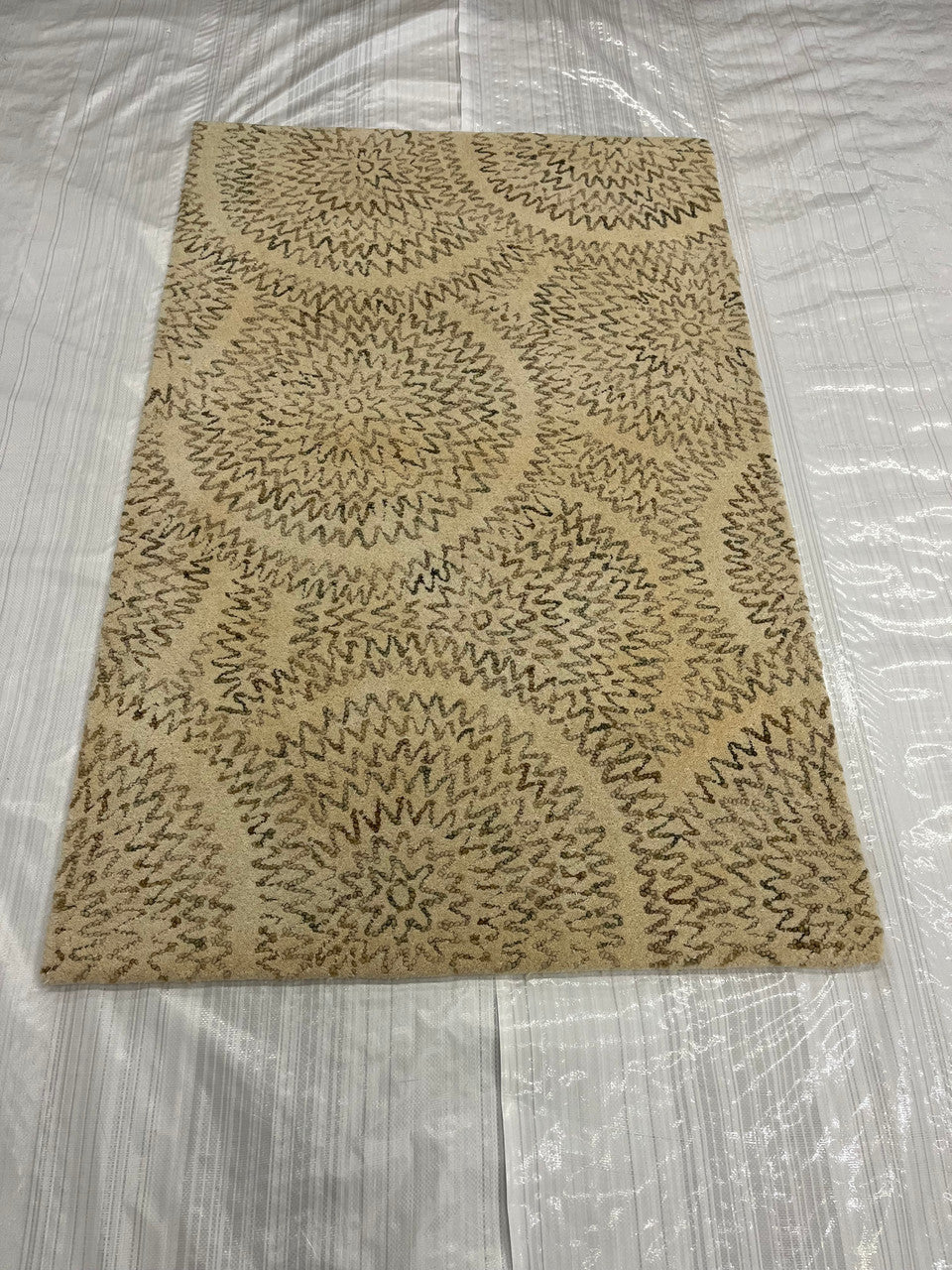 4x6 Transitional Hand-Knotted Wool rug, Rug #EB-21