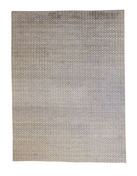 9x12 Modern Hand-Knotted Wool rug, Rug #101-2279