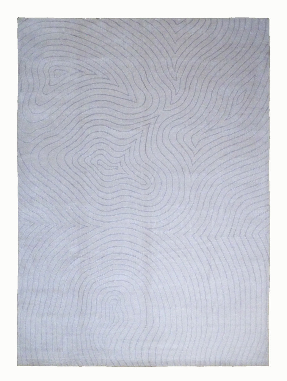 10x14 Modern Hand-Knotted Wool rug, Rug #101-425