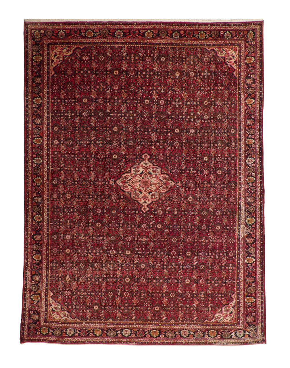 10x14 Traditional Hand-Knotted Wool rug, Rug #101-2325