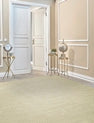 3'6" x 5'6" Transitional Hand Loom Silk rug, Rug #AV1971